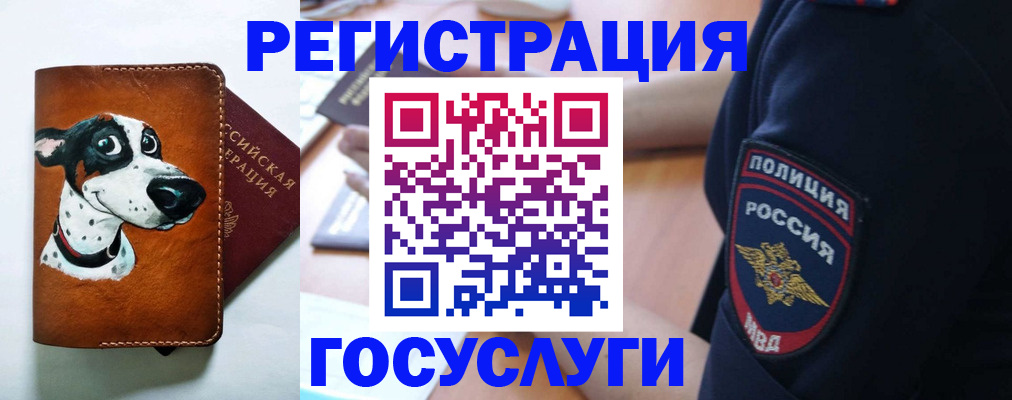 временная регистрация в квартире в Волгоградской области